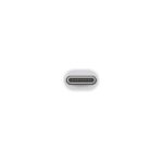 Apple Adapter Thunderbold 3 (USB-C) to Thunderbold 2 — изображение 2