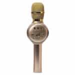 Microphone MD02
