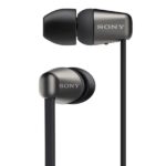 Беспроводные наушники SONY Neckband WI-C310 Black