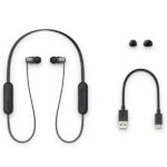 Беспроводные наушники SONY Neckband WI-C310 Black